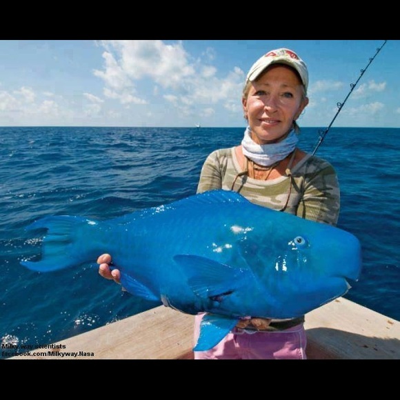 😍Bundle up your likes 😍 - Picture 6 of 16